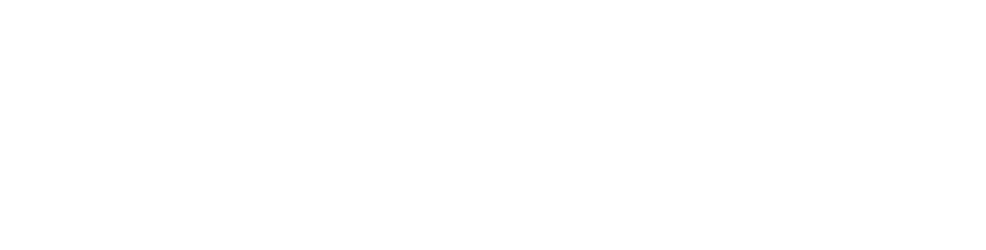 Nederlands Dagblad logo